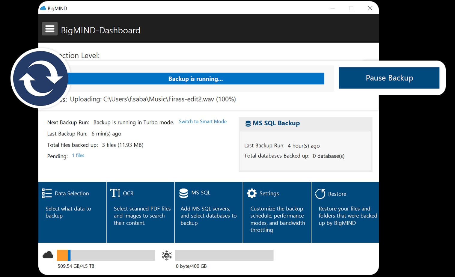 BigMIND Dashboard - AI-Powered Backup Software Interface