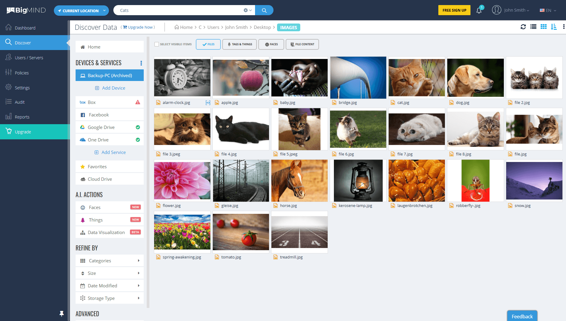 BigMIND Smart Search Interface - AI-powered search that understands natural language queries