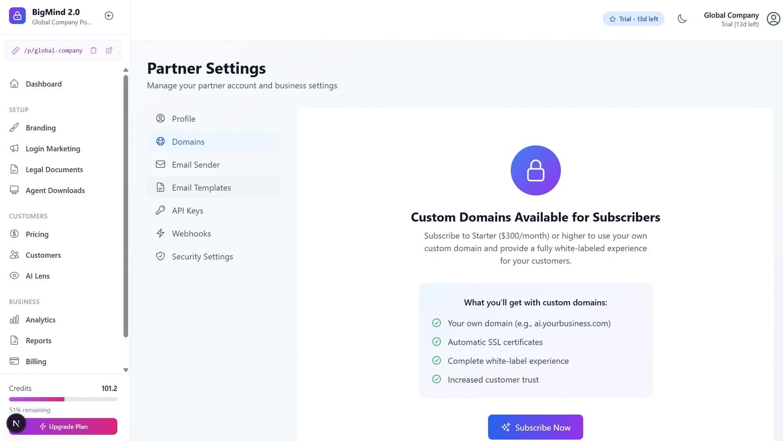 Custom Domains settings in the partner portal