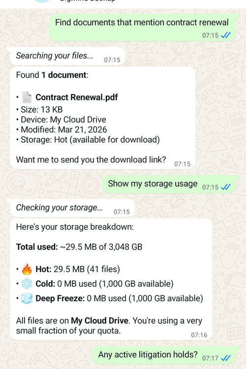 BigMind Ops on WhatsApp — search files, check storage, monitor backups