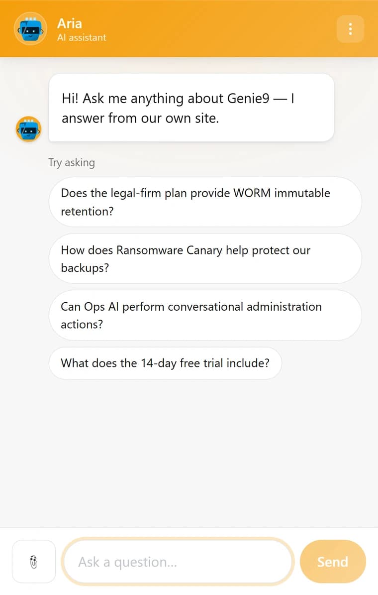 The Genie AI chat widget with Warm Amber (#f59e0b) as the brand colour, carried through the header, the avatar ring, the composer and the Send button