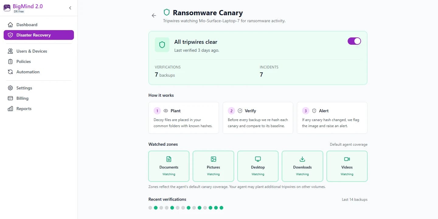 BigMind DR ransomware canary screen on a free account: all tripwires clear, verification and incident counters, the plant / verify / alert steps, watched folders for Documents, Pictures, Desktop, Downloads and Videos, and a strip showing the last 14 backup verifications