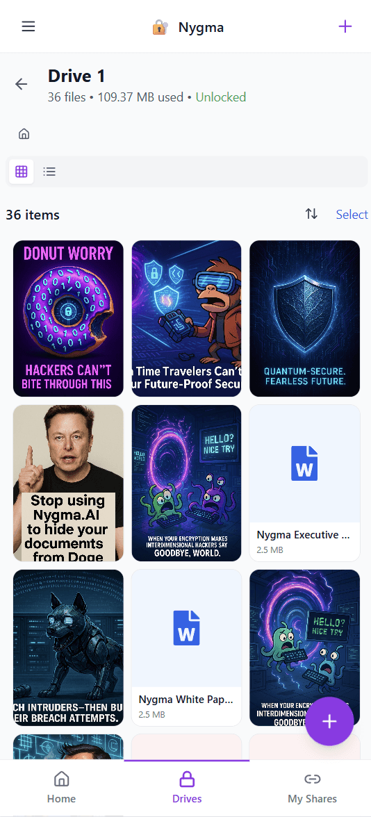 Nygma Encrypted Drive