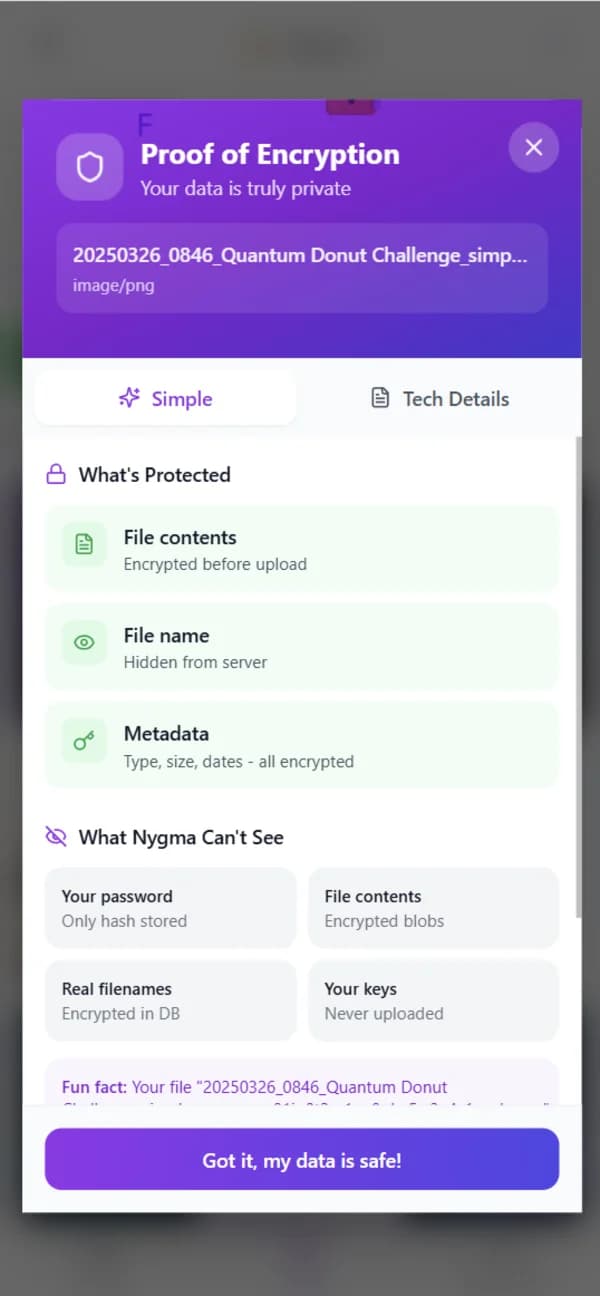 Nygma Proof of Encryption screen showing what's protected and what Nygma can't see