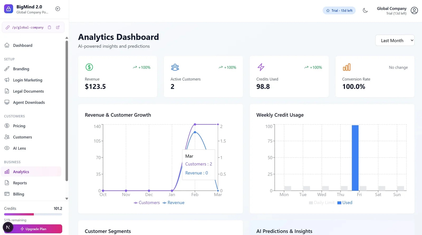 The partner analytics dashboard - revenue and customer growth, weekly credit usage and conversion