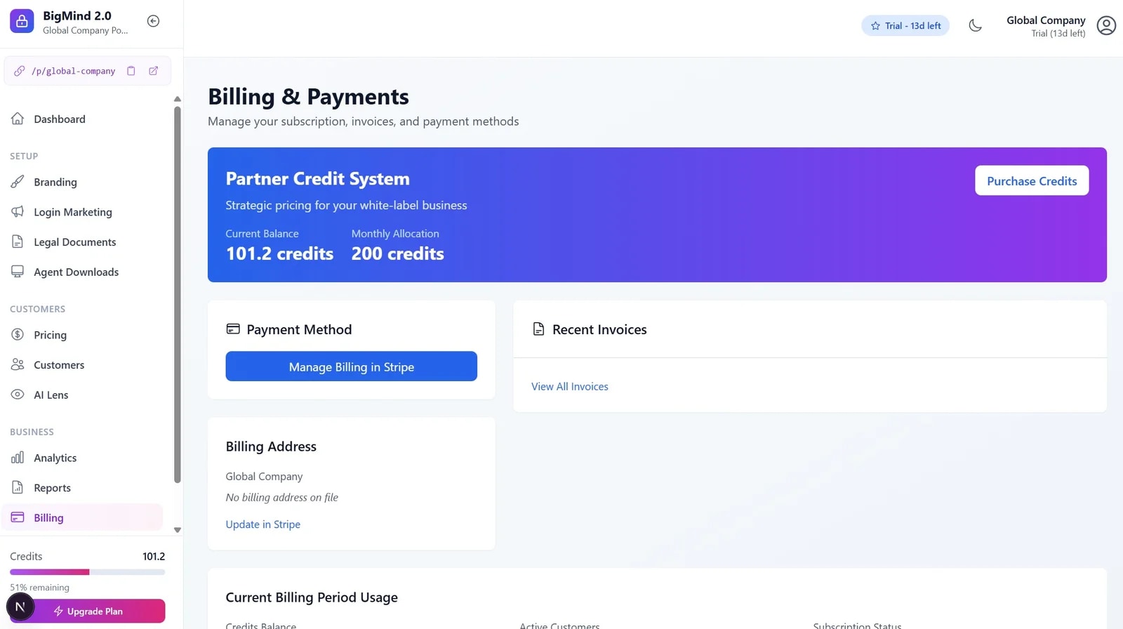 The partner billing view - credit balance, monthly allocation and Stripe-managed payments