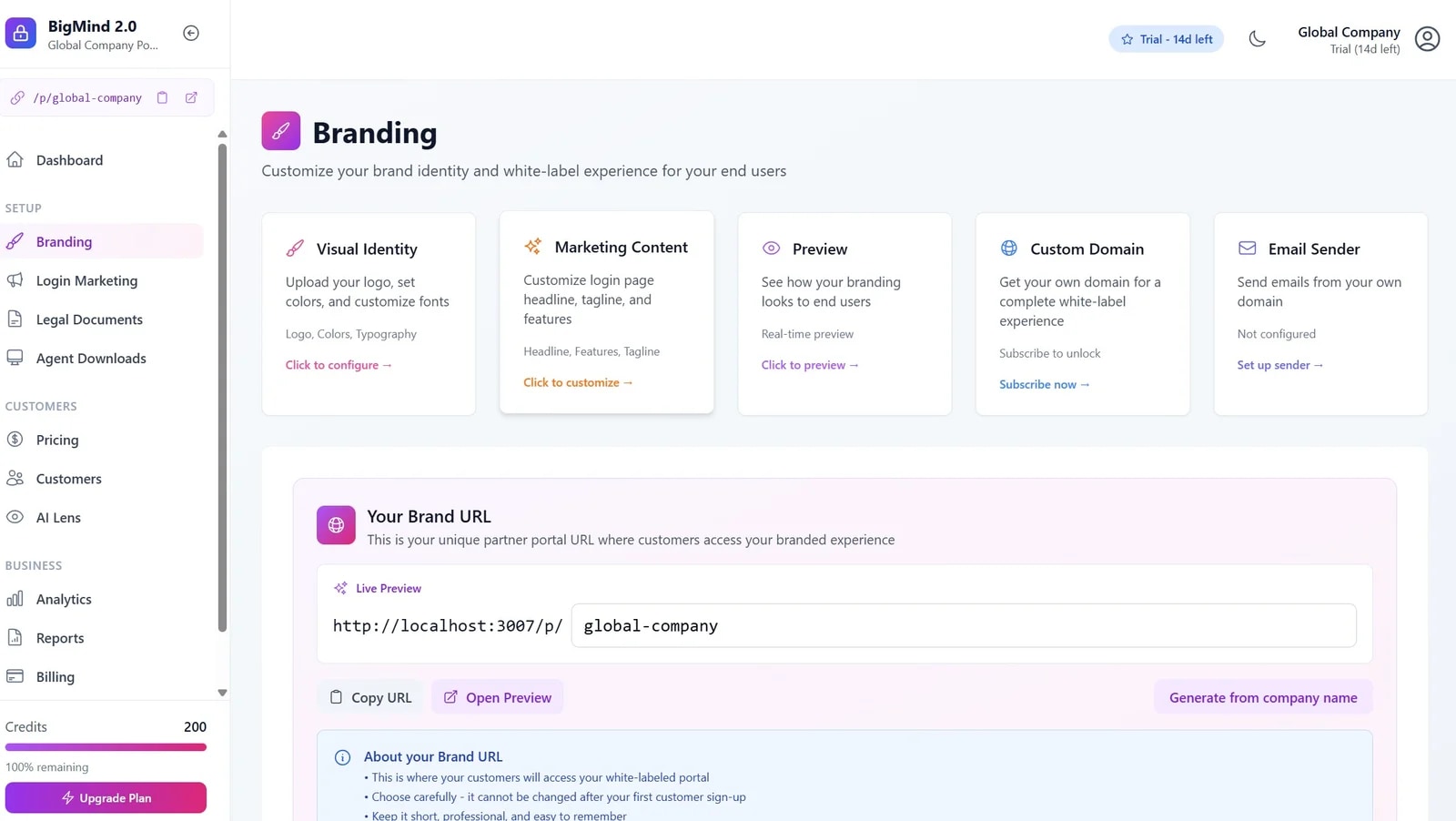 The branding hub - visual identity, marketing, preview, custom domain and email sender, with your brand URL