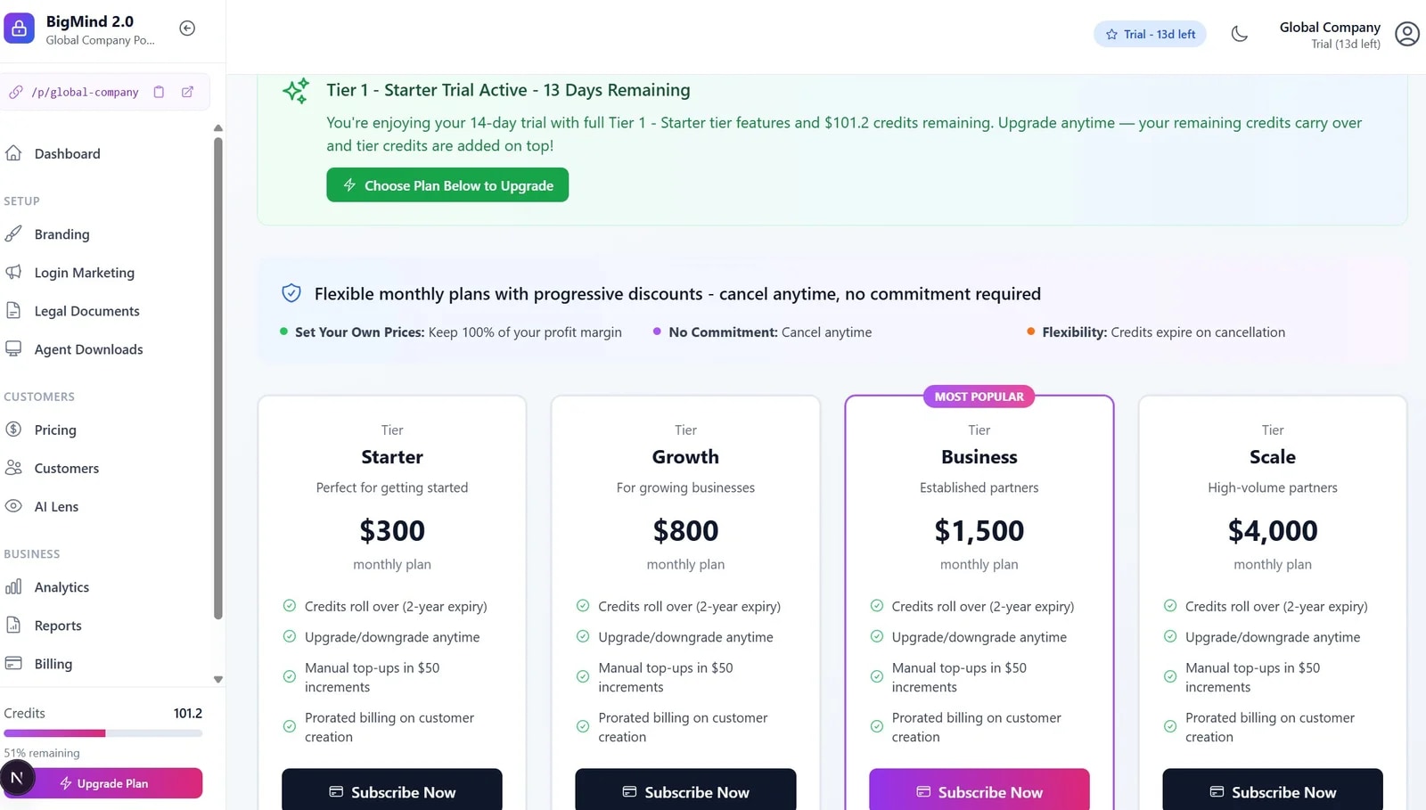 The partner commitment tiers - Starter, Growth, Business and Scale with monthly pricing