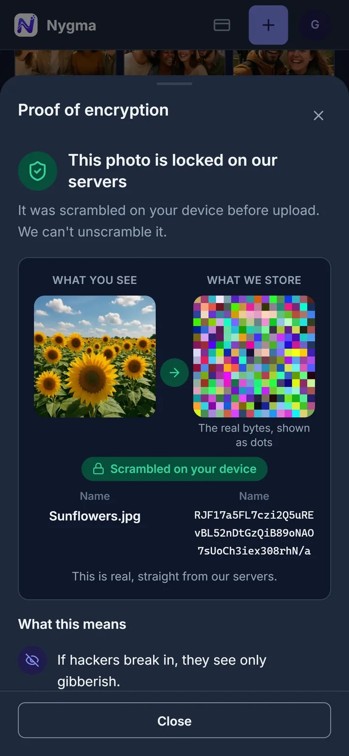 Opening Proof of encryption on a photo: the picture next to the scrambled data our servers store