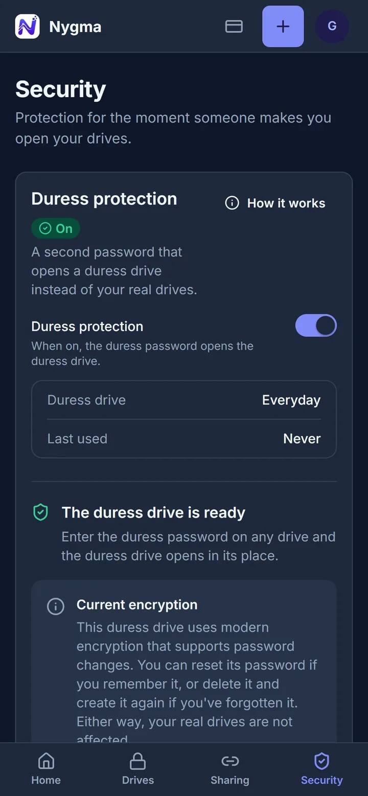 Nygma's Security page with Advanced protection on and the everyday drive ready