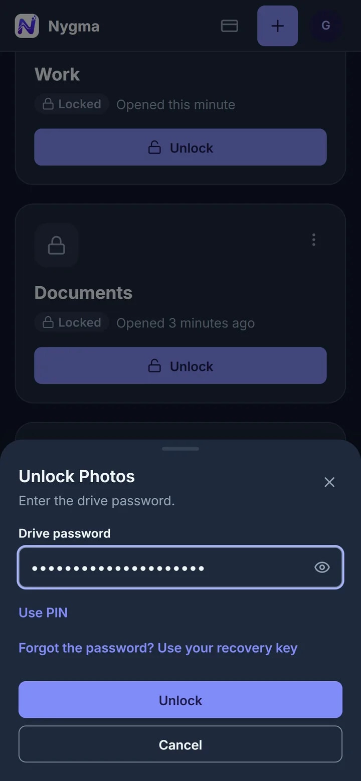 Nygma's unlock window asking for a drive password
