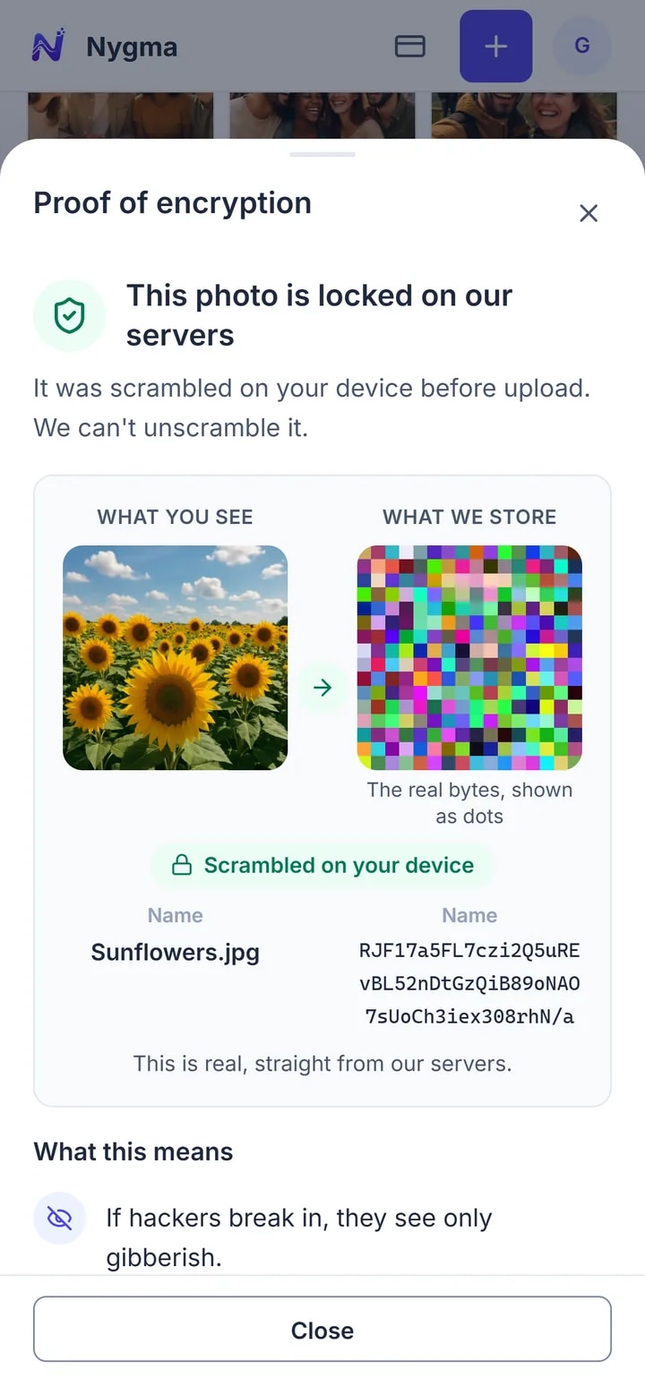 Opening Proof of encryption on a photo: the picture next to the scrambled data our servers store