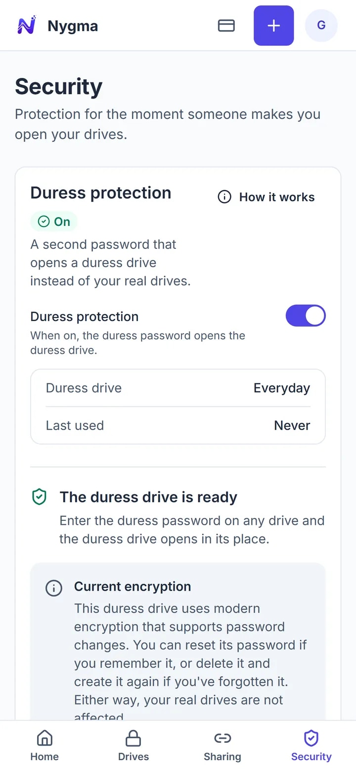 Nygma's Security page with Advanced protection on and the everyday drive ready