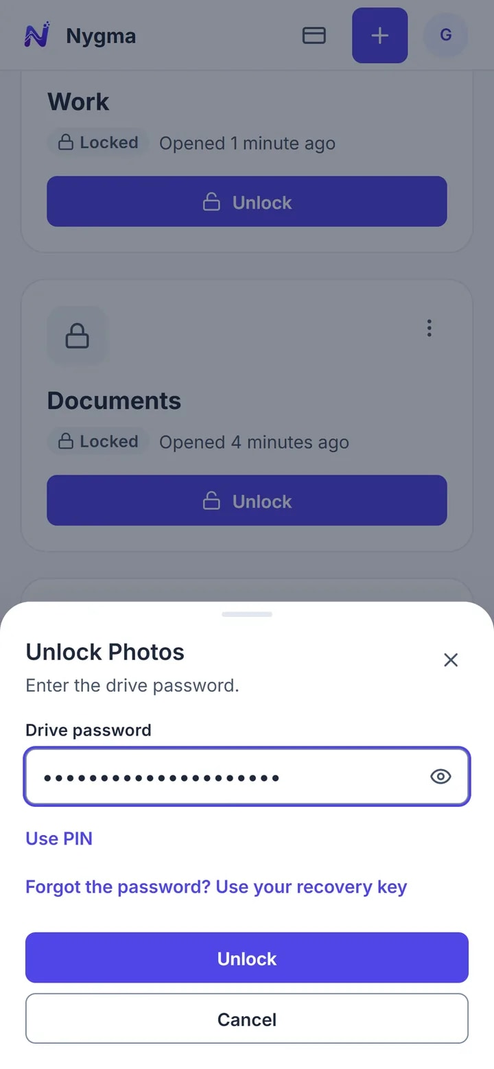 Nygma's unlock window asking for a drive password