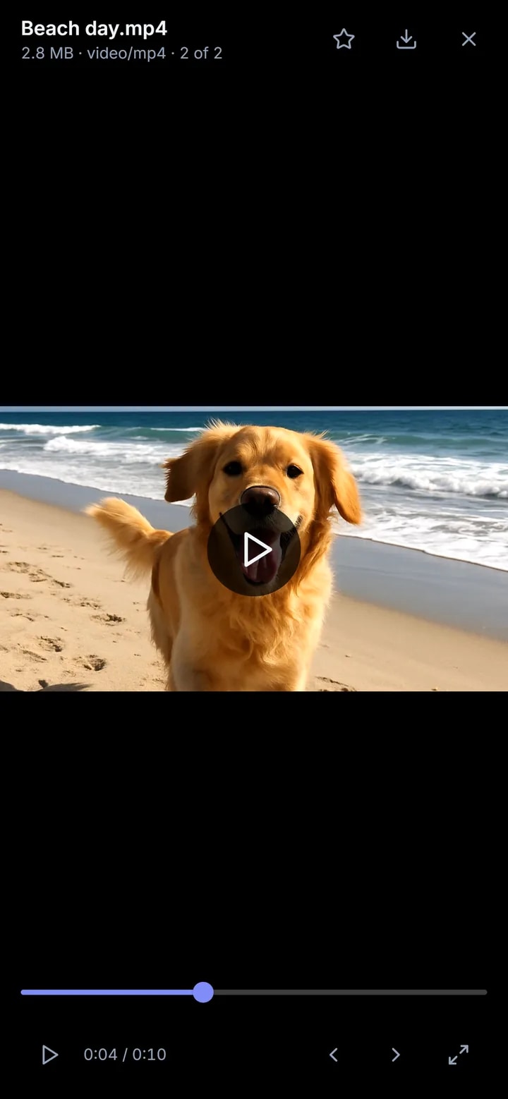 A beach video playing in Nygma's video player