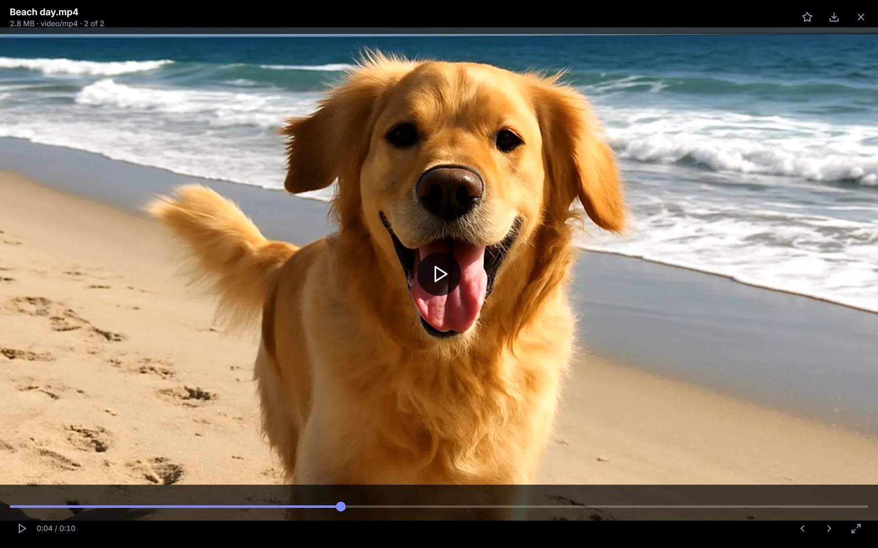 A beach video playing in Nygma's video player
